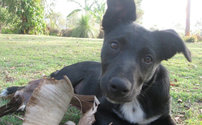 Bella in her pre grey hair&nbsp;days