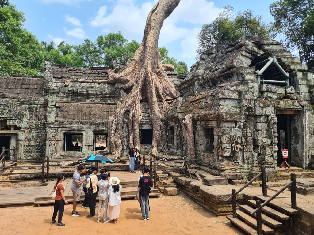 A group of tourists gathered in front of ancient temple ruins overtaken by large tree roots in a lush green environment.