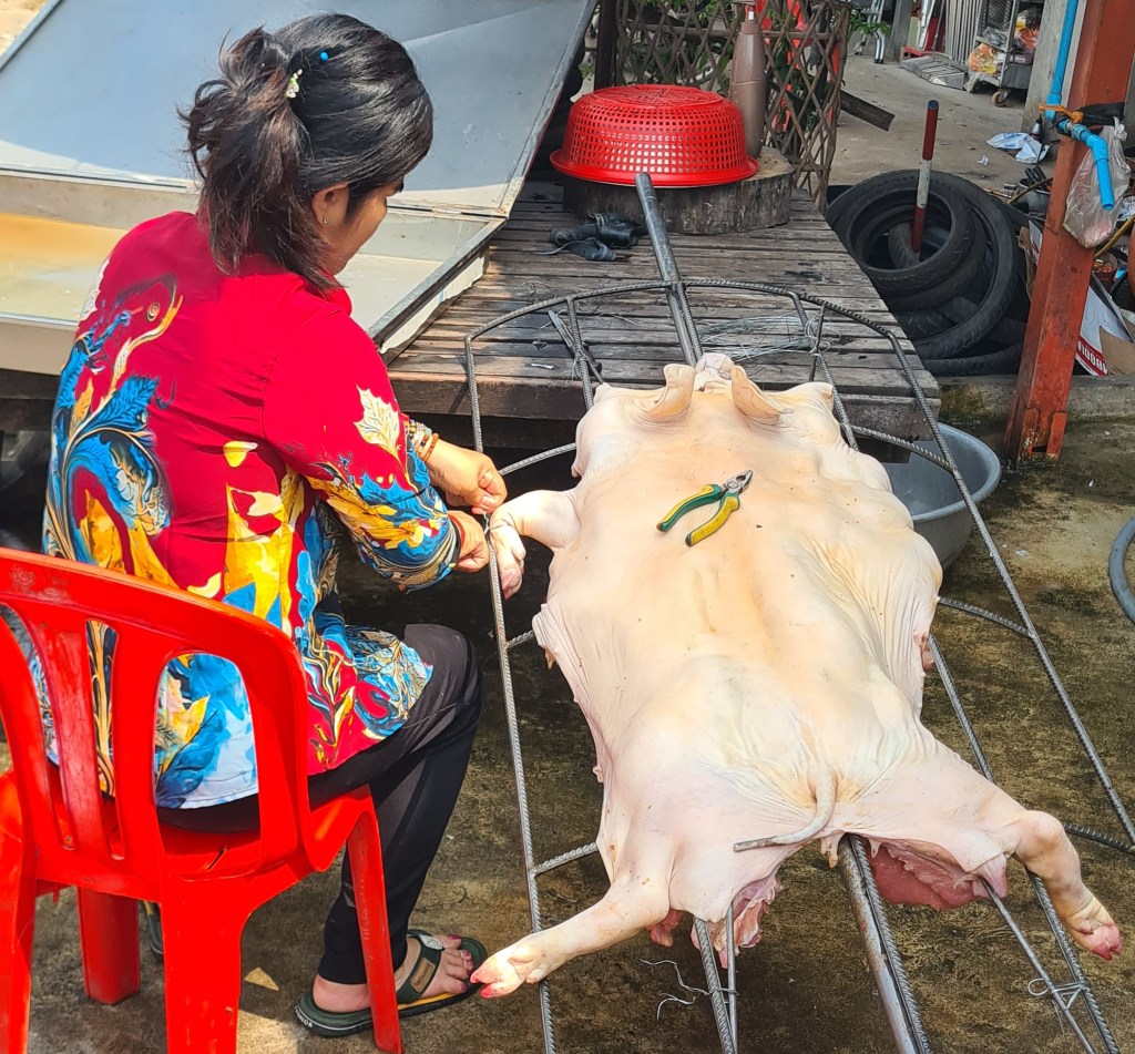 A woman wearing a colorful shirt sits on a red chair, working on the carcass of a pig laid out on a metal frame. Pliers are positioned on the pig, and there are various tools and items visible in the background.