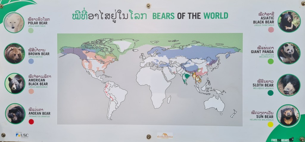 A map titled 'Bears of the World' showcasing various bear species, including Polar Bear, Brown Bear, American Black Bear, Andean Bear, Asiatic Black Bear, Giant Panda, Sloth Bear, and Sun Bear, with corresponding images and distribution areas marked in different colors.