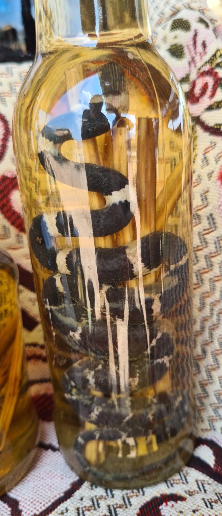 A glass bottle filled with a yellowish liquid containing dark, spiraled objects that resemble snakes or snake-like elements, alongside some wooden sticks, set on a patterned fabric background.