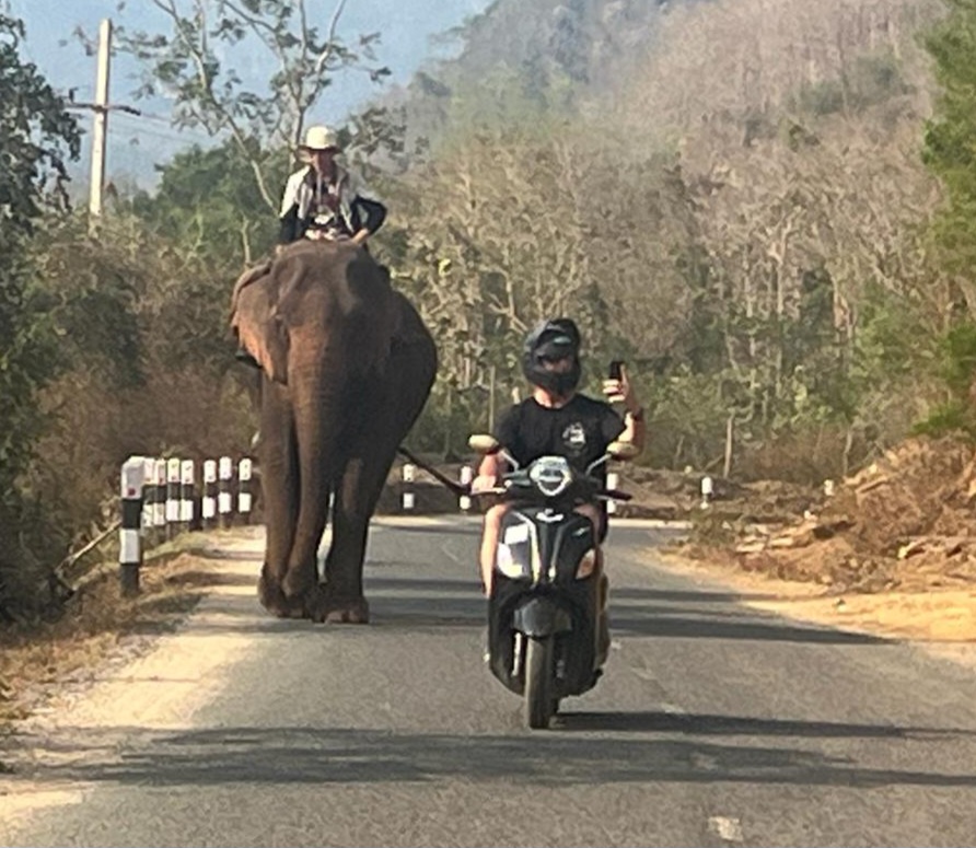 A person riding an elephant on a road, while another person on a scooter holds a phone, capturing the scene. Lush greenery is visible in the background.